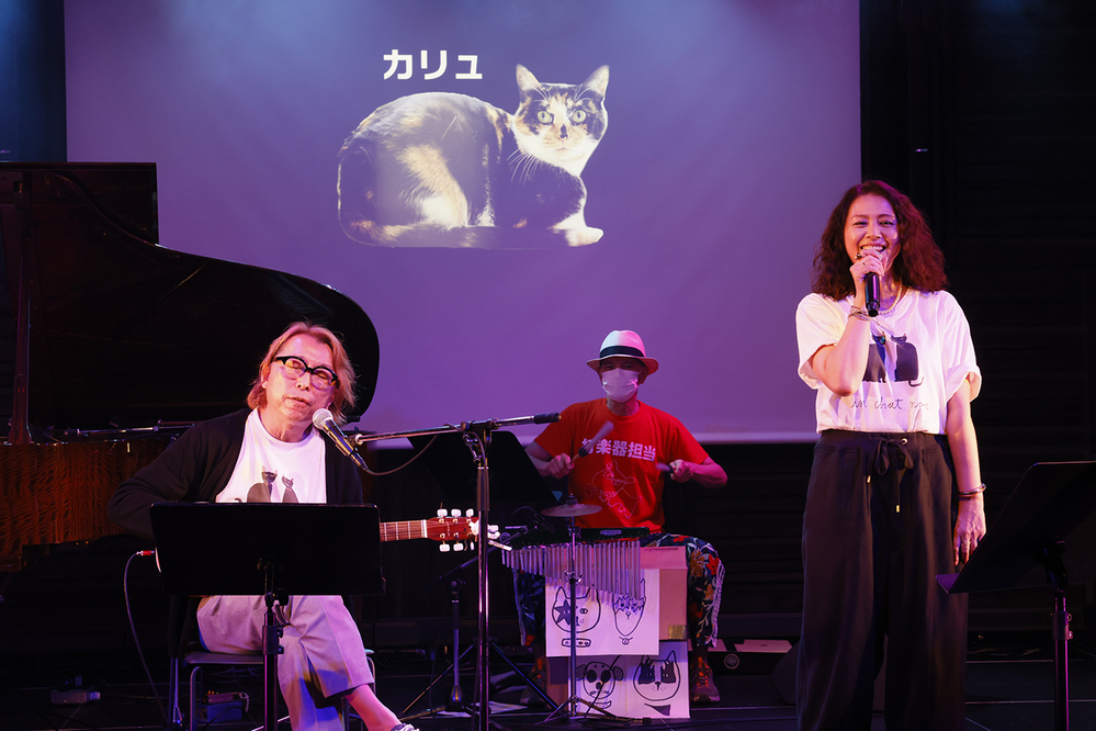 小泉今日子、坂本美雨らが出演！ ウクライナの動物保護活動を応援するチャリティライブ 「いぬねこなかまウクライナ」緊急開催！！