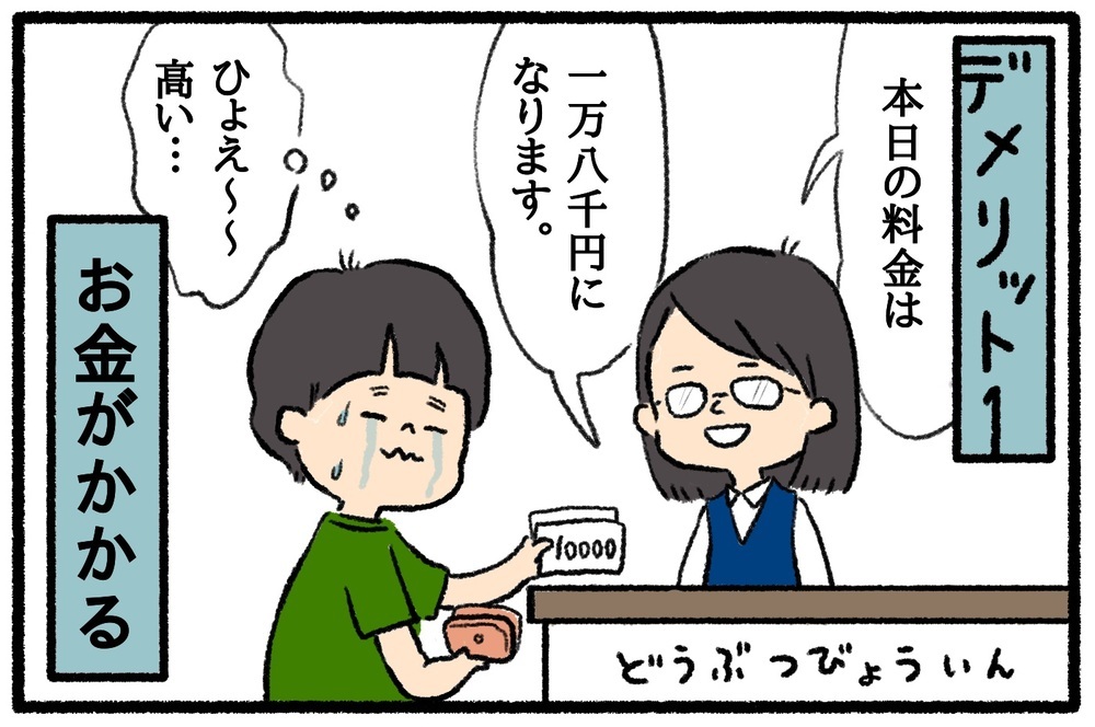 家族で犬を飼いたくなったら…!? 子どものいる家庭で犬を飼うメリット・デメリット【うちはモフモフ暮らし  第45話】