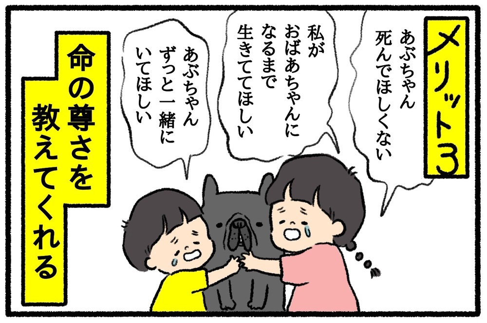 家族で犬を飼いたくなったら…!? 子どものいる家庭で犬を飼うメリット・デメリット【うちはモフモフ暮らし  第45話】