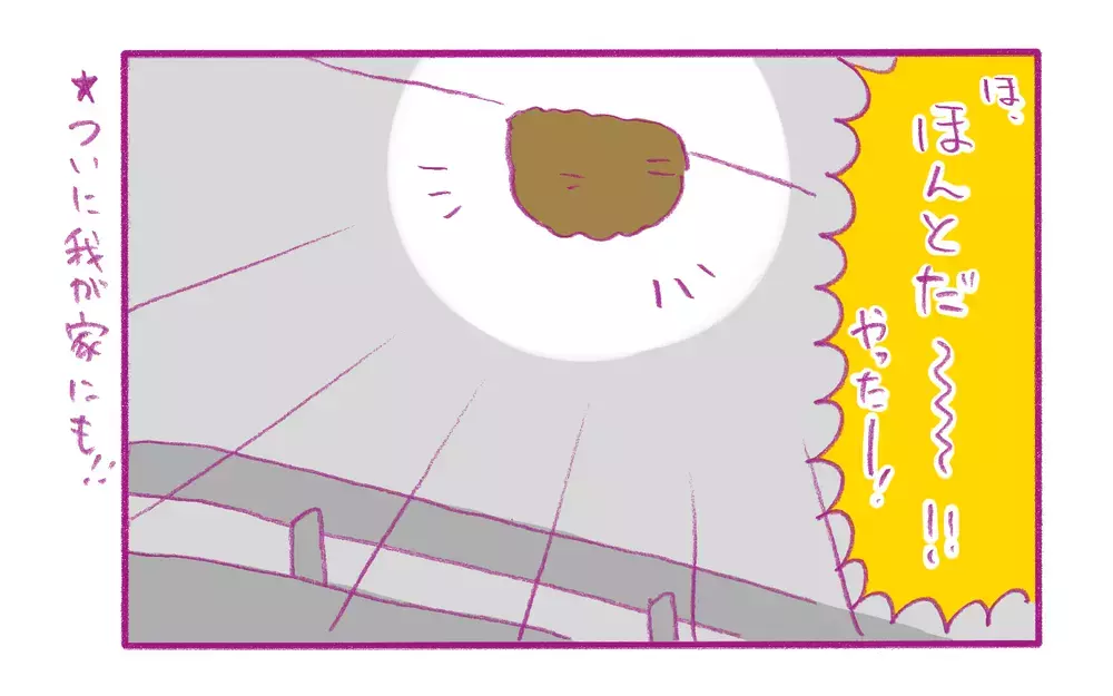 わが家に作られたのは、縁起物の「ツバメの巣」だと思っていたが!?【もちもちエプリデイ】  Vol.60