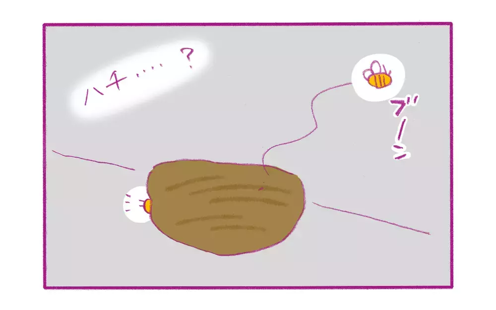 わが家に作られたのは、縁起物の「ツバメの巣」だと思っていたが!?【もちもちエプリデイ】  Vol.60