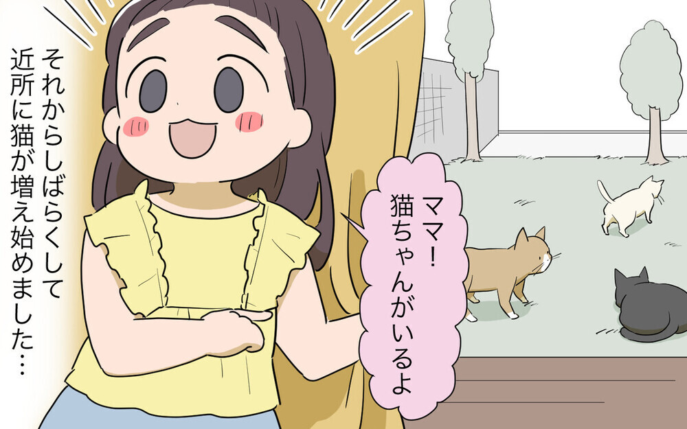 トラブルメーカーの隣人が猫に餌をあげている…地域猫に関する読者の意見は？