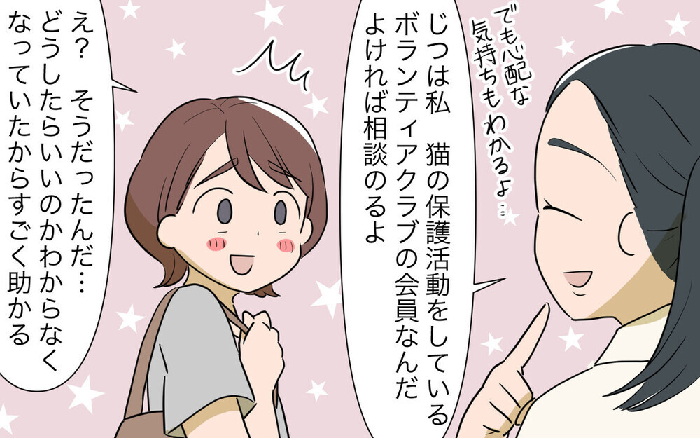 トラブルメーカーの隣人が猫に餌をあげている…地域猫に関する読者の意見は？