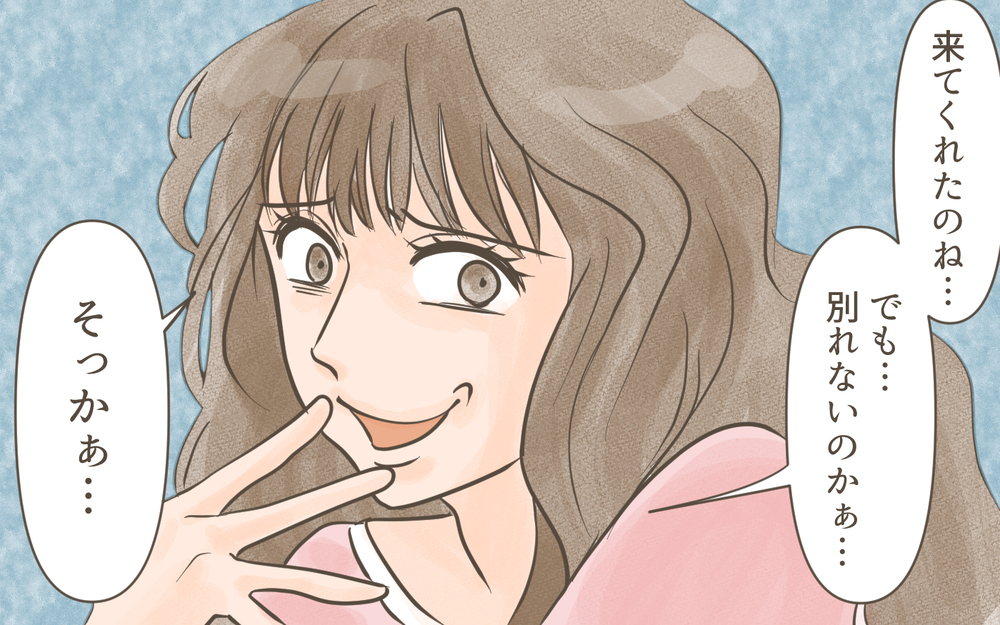 「別れてくれる？」夫との離婚を迫ってくる前妻はあとに引くわけもなく…／忍び寄る狂気（９）【私のママ友付き合い事情 まんが】