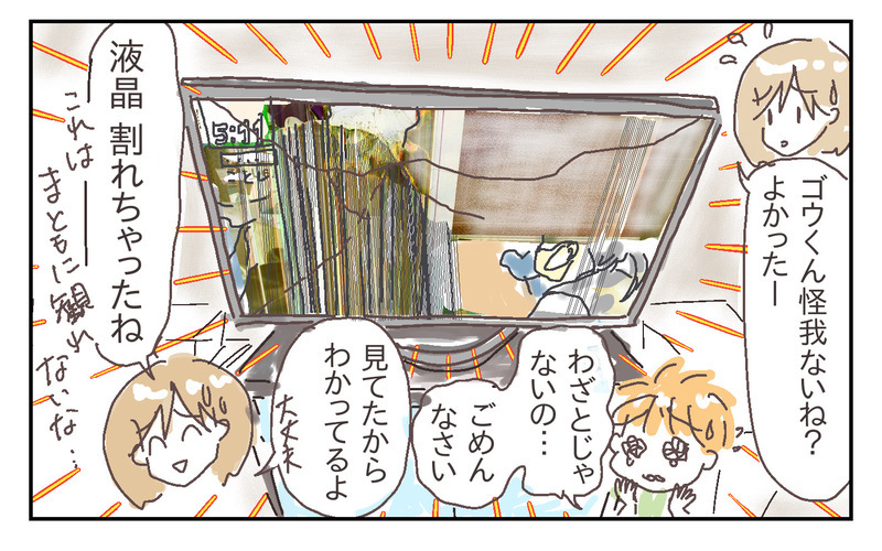 息子がテレビを倒して画面が割れてしまった！ その場合、家財保険が使える⁉︎【シャトー家の観察絵日記 Vol.25】