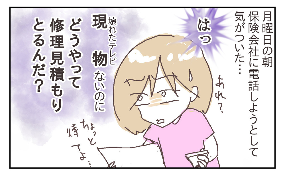 息子がテレビを倒して画面が割れてしまった！ その場合、家財保険が使える⁉︎【シャトー家の観察絵日記 Vol.25】