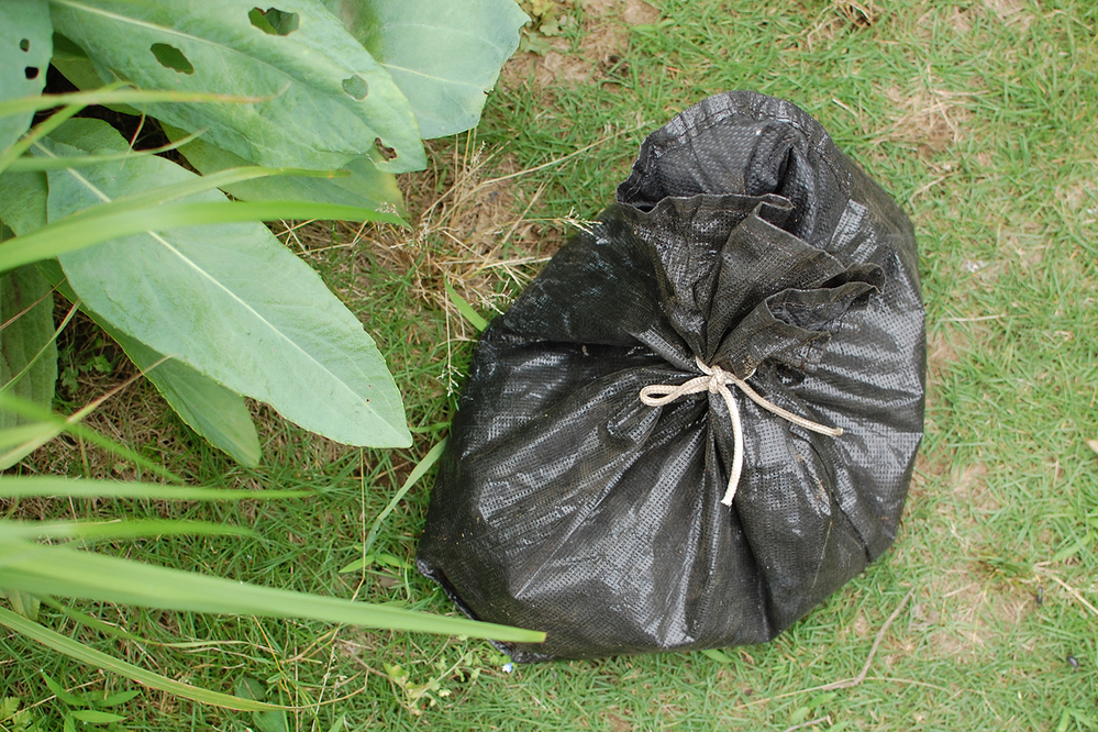 わが家にぴったりなのはどれ？　生ゴミを堆肥にリサイクル！  「コンポスト」で始めるサスティナブルな暮らし【4人の体験談】