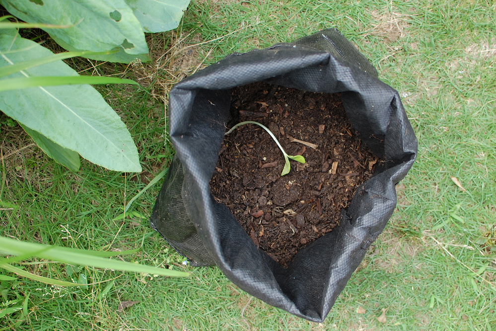 わが家にぴったりなのはどれ？　生ゴミを堆肥にリサイクル！  「コンポスト」で始めるサスティナブルな暮らし【4人の体験談】