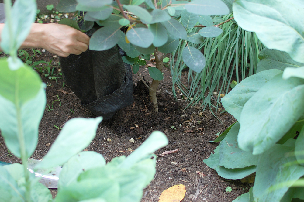 わが家にぴったりなのはどれ？　生ゴミを堆肥にリサイクル！  「コンポスト」で始めるサスティナブルな暮らし【4人の体験談】