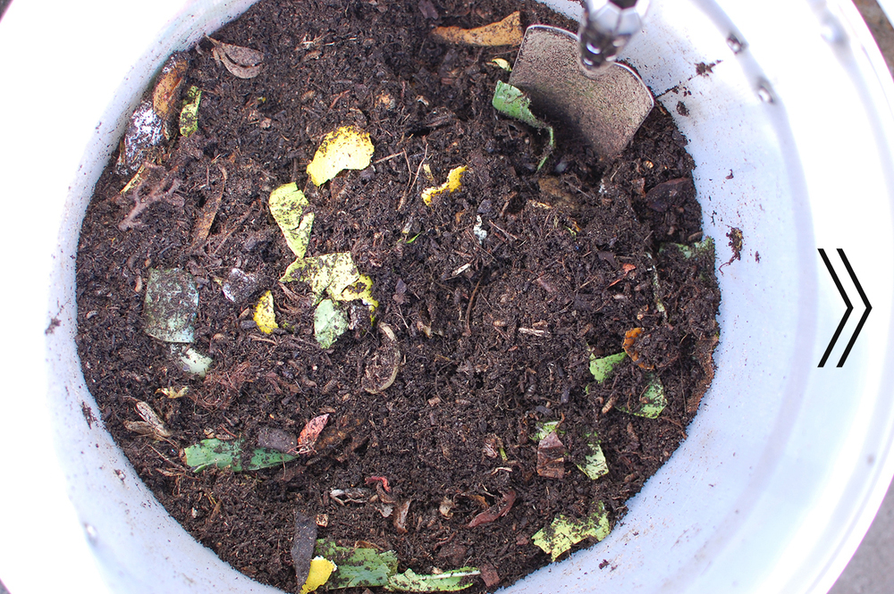 わが家にぴったりなのはどれ？　生ゴミを堆肥にリサイクル！  「コンポスト」で始めるサスティナブルな暮らし【4人の体験談】