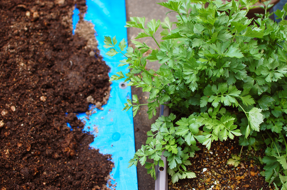 わが家にぴったりなのはどれ？　生ゴミを堆肥にリサイクル！  「コンポスト」で始めるサスティナブルな暮らし【4人の体験談】