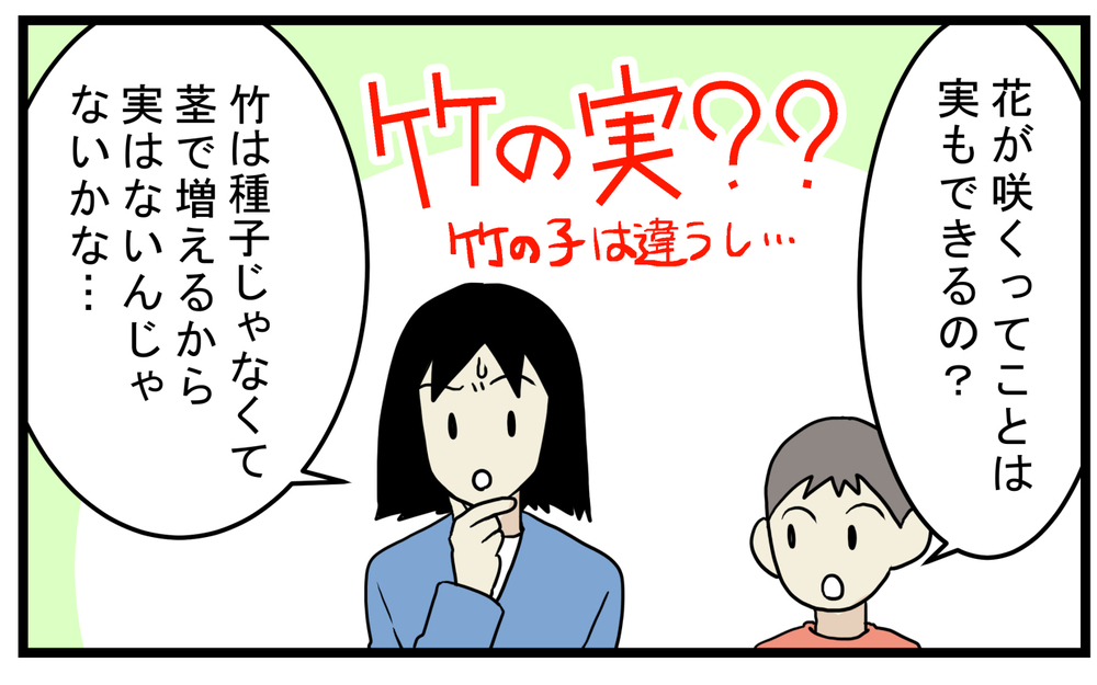 「竹も実がなるの？」息子に言われわかった意外なこと【こどもと見つけた小さな発見日誌 Vol.51】