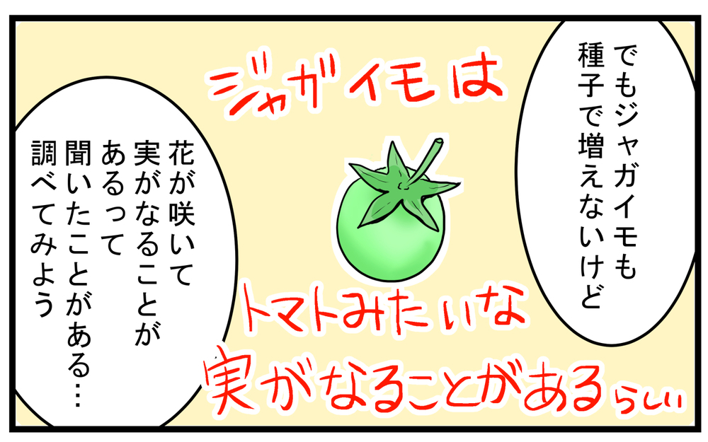 「竹も実がなるの？」息子に言われわかった意外なこと【こどもと見つけた小さな発見日誌 Vol.51】