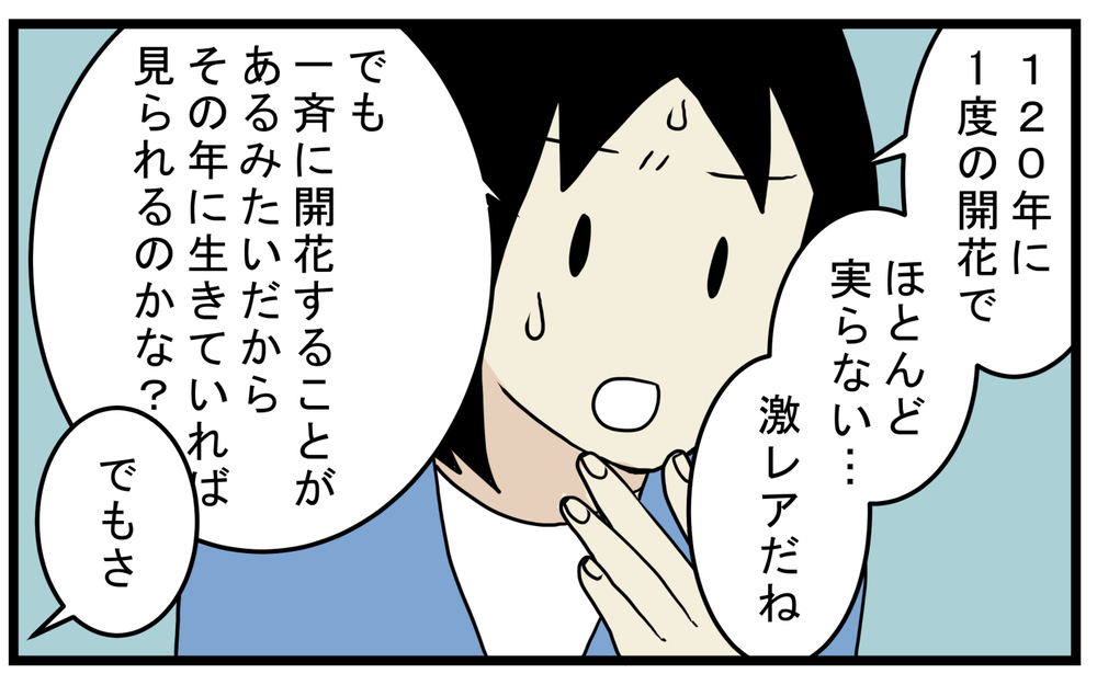 「竹も実がなるの？」息子に言われわかった意外なこと【こどもと見つけた小さな発見日誌 Vol.51】