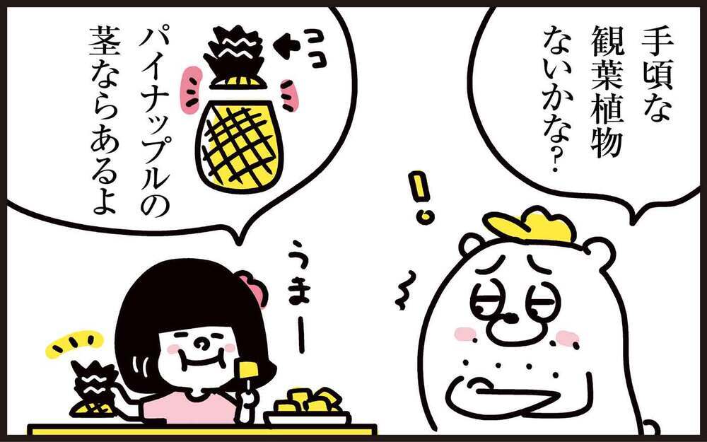 あの果物の茎を再生させて、今度は観葉植物に！ 続・わが家の再生栽培事情【パパン奮闘記 ～娘が嫁にいくまでは～ 第120話】