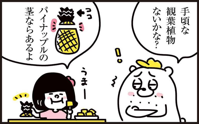 あの果物の茎を再生させて、今度は観葉植物に！ 続・わが家の再生栽培事情【パパン奮闘記 ～娘が嫁にいくまでは～ 第120話】