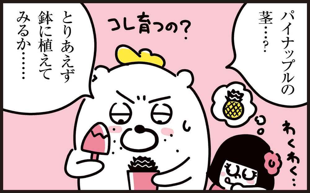 あの果物の茎を再生させて、今度は観葉植物に！ 続・わが家の再生栽培事情【パパン奮闘記 ～娘が嫁にいくまでは～ 第120話】