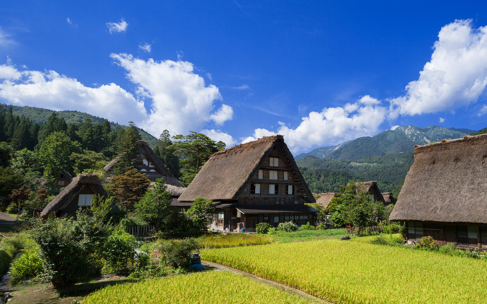 8月29日～9月4日の週間運勢占いランキング！　1位の星座は…？
