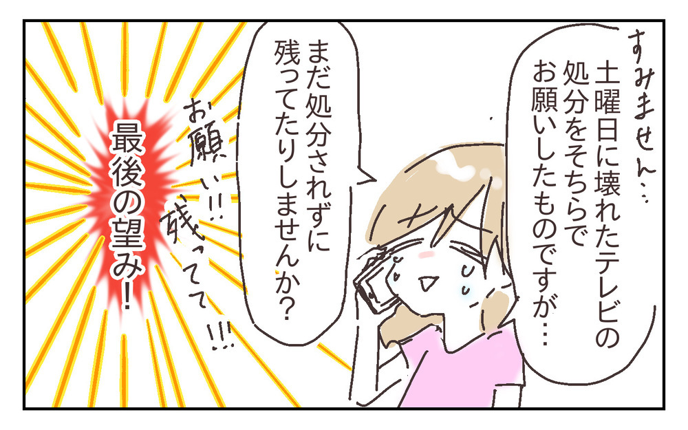 保険金請求は絶望的？ 息子が倒したテレビ、修理見積りが取れそうもない…!?【シャトー家の観察絵日記 Vol.26】
