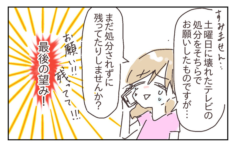 保険金請求は絶望的？ 息子が倒したテレビ、修理見積りが取れそうもない…!?【シャトー家の観察絵日記 Vol.26】
