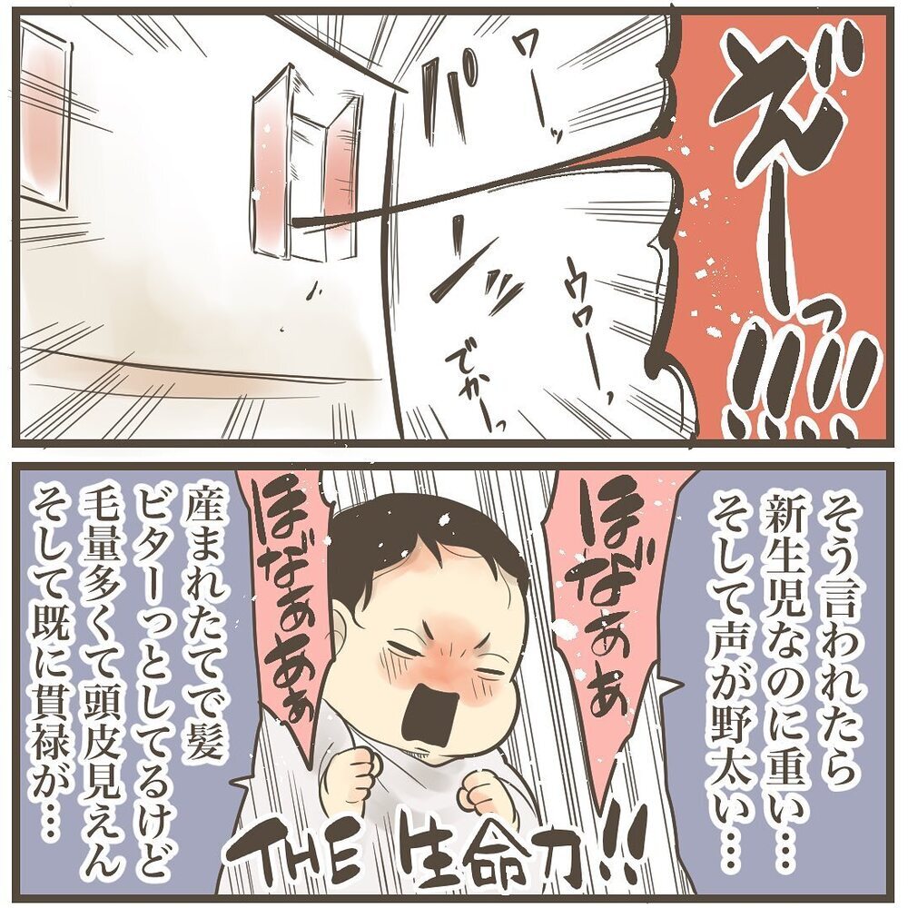 すでに貫禄あり!? 4452gのビッグベビーが誕生！【2人目は巨大児でした Vol.31】