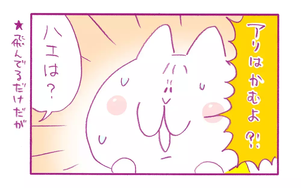 虫が苦手な息子が、学校でてんとう虫の図鑑を借りてきて…!?【もちもちエプリデイ】  Vol.62