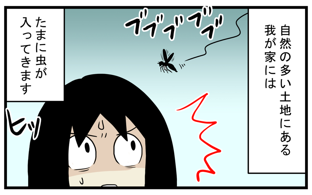 親子で衝撃的だった！ 家に入って来た虫を逃がそうとして「噛まれた」話【こどもと見つけた小さな発見日誌 Vol.52】