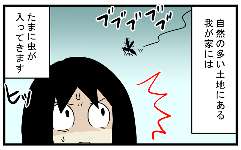 親子で衝撃的だった！ 家に入って来た虫を逃がそうとして「噛まれた」話【こどもと見つけた小さな発見日誌 Vol.52】