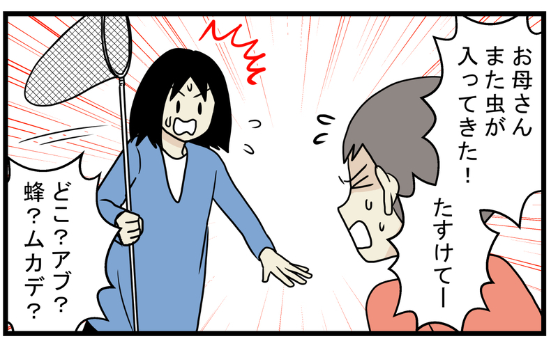 親子で衝撃的だった！ 家に入って来た虫を逃がそうとして「噛まれた」話【こどもと見つけた小さな発見日誌 Vol.52】