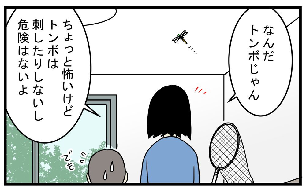 親子で衝撃的だった！ 家に入って来た虫を逃がそうとして「噛まれた」話【こどもと見つけた小さな発見日誌 Vol.52】