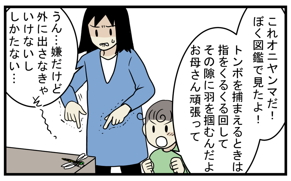 親子で衝撃的だった！ 家に入って来た虫を逃がそうとして「噛まれた」話【こどもと見つけた小さな発見日誌 Vol.52】