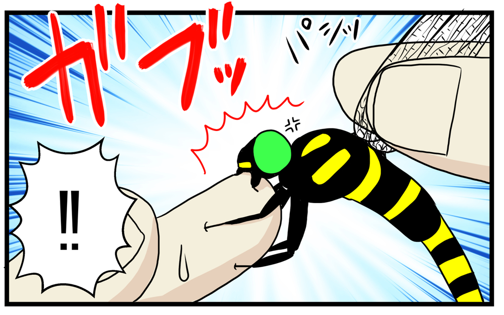 親子で衝撃的だった！ 家に入って来た虫を逃がそうとして「噛まれた」話【こどもと見つけた小さな発見日誌 Vol.52】