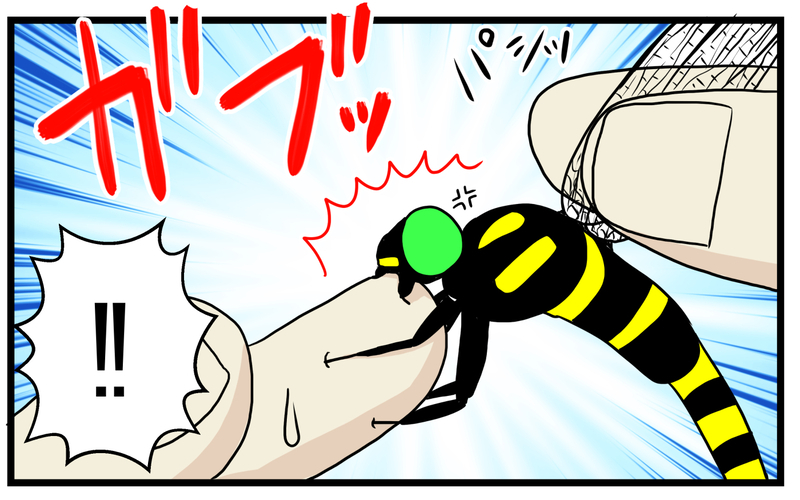親子で衝撃的だった！ 家に入って来た虫を逃がそうとして「噛まれた」話【こどもと見つけた小さな発見日誌 Vol.52】