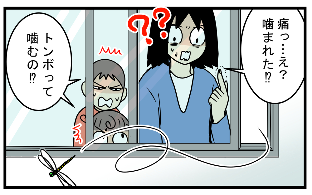 親子で衝撃的だった！ 家に入って来た虫を逃がそうとして「噛まれた」話【こどもと見つけた小さな発見日誌 Vol.52】