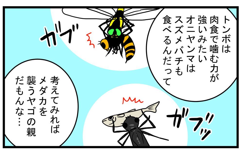 親子で衝撃的だった！ 家に入って来た虫を逃がそうとして「噛まれた」話【こどもと見つけた小さな発見日誌 Vol.52】