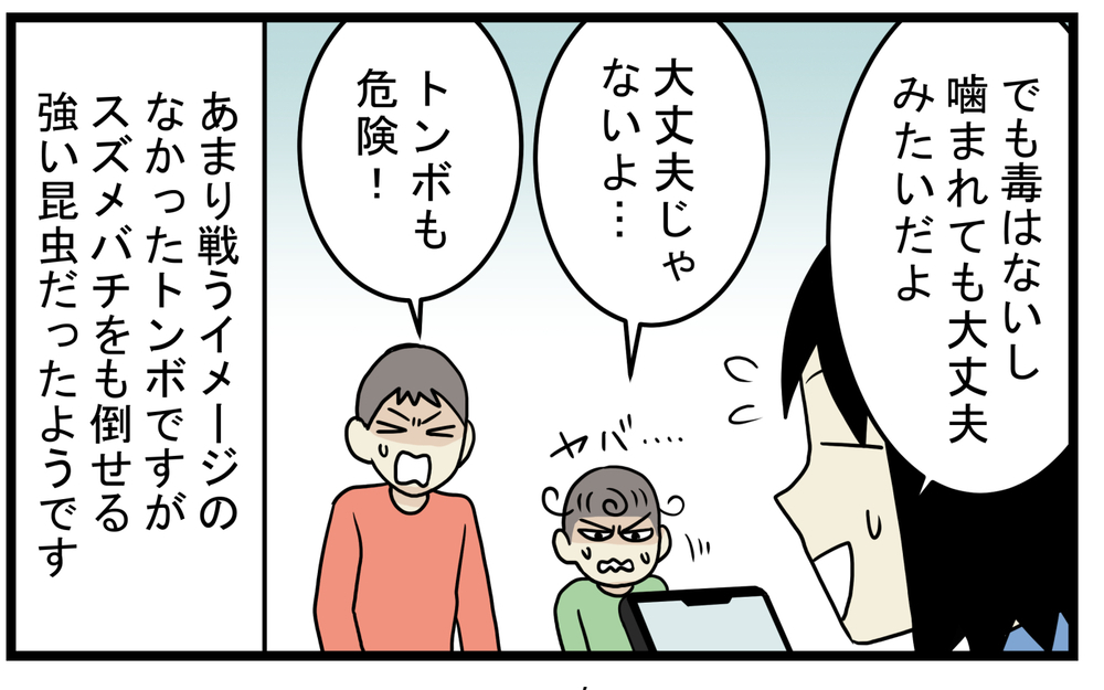 親子で衝撃的だった！ 家に入って来た虫を逃がそうとして「噛まれた」話【こどもと見つけた小さな発見日誌 Vol.52】
