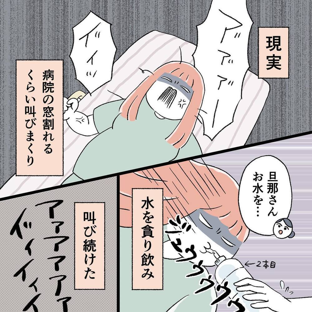 ついに「いきみ」OKに！ しかし、いきむとアイツと一緒に大腸が出てしまいそう…!？【"痔"獄の出産レポート Vol.5】