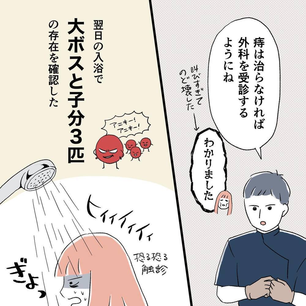 かなりつらかった痔持ちの出産　産後、あることを決意！【"痔"獄の出産レポート Vol.7】