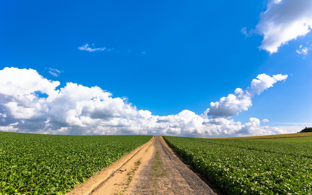 9月5日～9月11日の週間運勢占いランキング！　1位の星座は…？