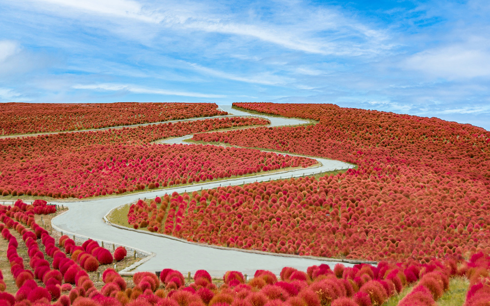9月12日～9月18日の週間運勢占いランキング！　1位の星座は…？