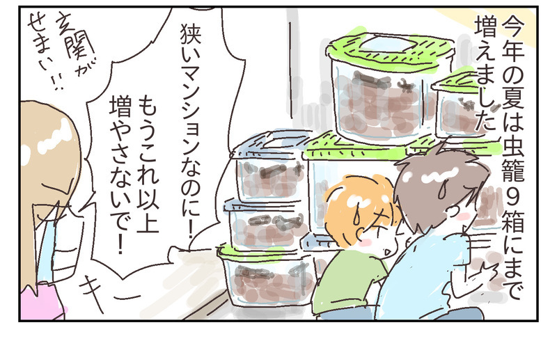 父子で夢中の昆虫採集！ 息子の成長をたくさん感じた今年の夏【シャトー家の観察絵日記 Vol.27】