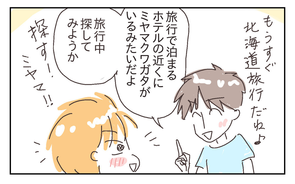 父子で夢中の昆虫採集！ 息子の成長をたくさん感じた今年の夏【シャトー家の観察絵日記 Vol.27】