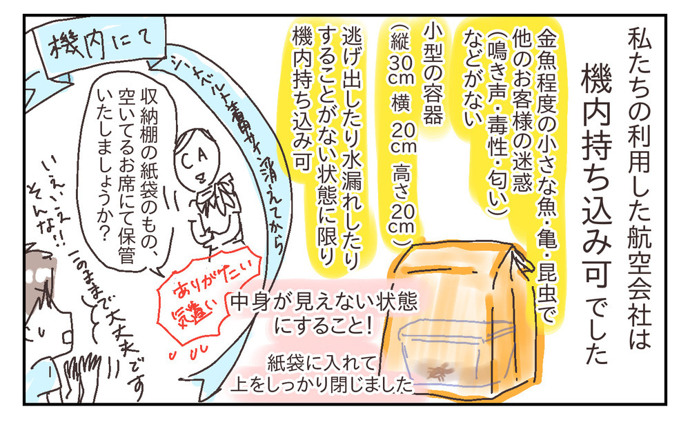 父子で夢中の昆虫採集！ 息子の成長をたくさん感じた今年の夏【シャトー家の観察絵日記 Vol.27】