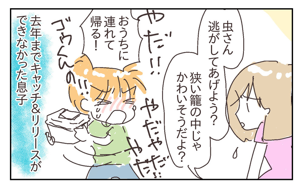 父子で夢中の昆虫採集！ 息子の成長をたくさん感じた今年の夏【シャトー家の観察絵日記 Vol.27】