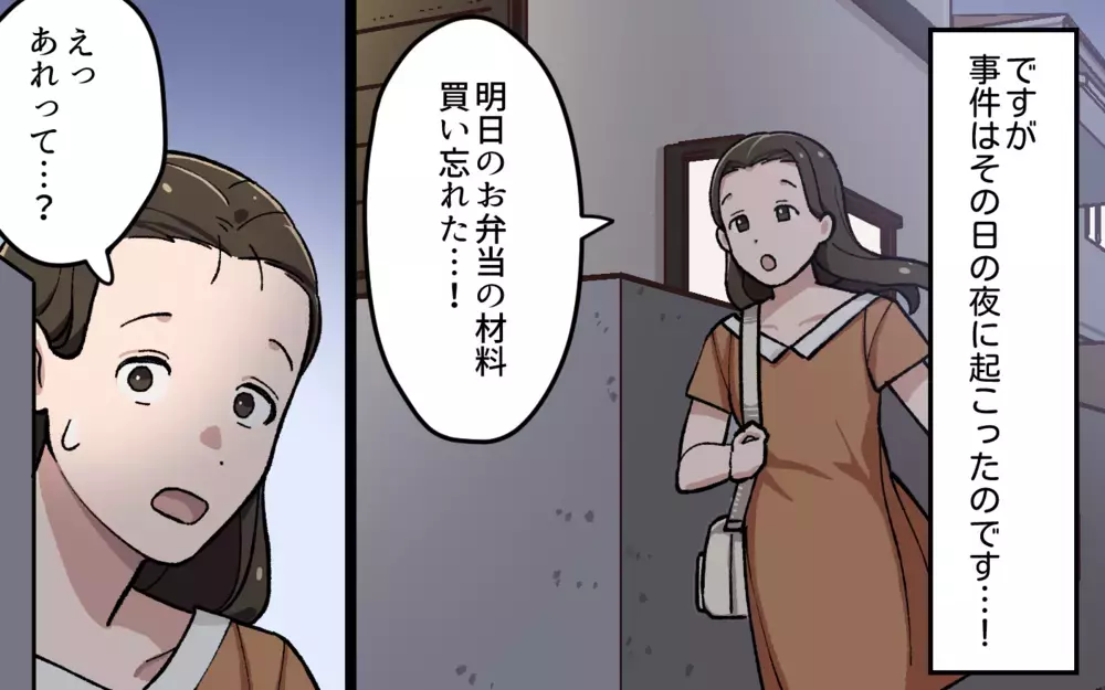 やっぱり… ついにふたりが会っているところを目撃！／夫と隣の奥さんの秘密（5）【夫婦の危機 まんが】