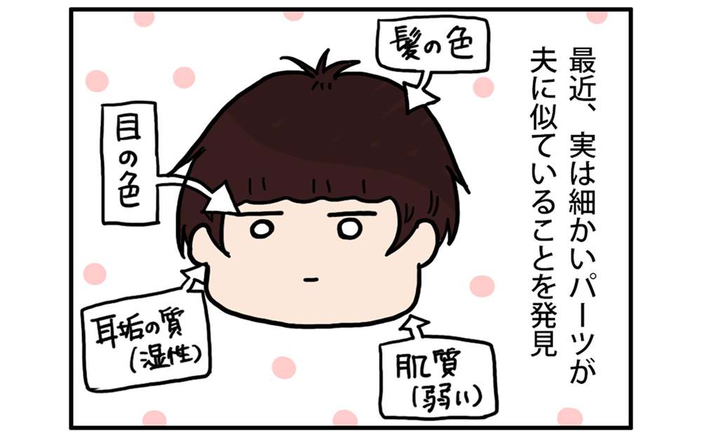 うちの子は父似？ 母似？ 遺伝って不思議…！　【こむぎときなこ Vol.47】