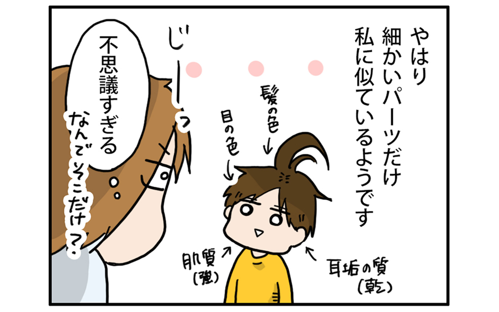 うちの子は父似？ 母似？ 遺伝って不思議…！　【こむぎときなこ Vol.47】