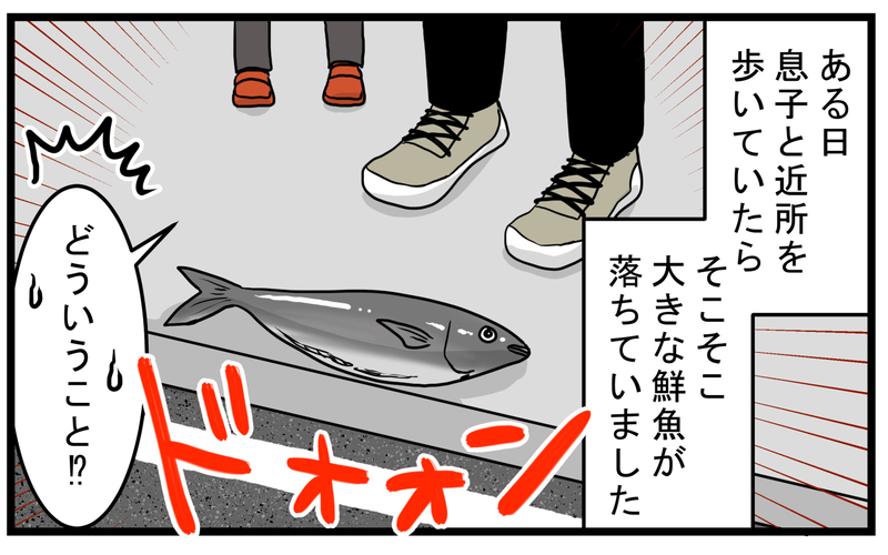 意外な動物の仕業だった!? 道に新鮮な魚が落ちていたワケ【こどもと見つけた小さな発見日誌 Vol.54】