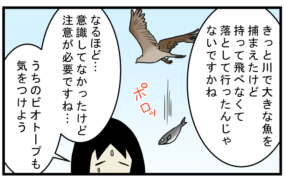 意外な動物の仕業だった!? 道に新鮮な魚が落ちていたワケ【こどもと見つけた小さな発見日誌 Vol.54】