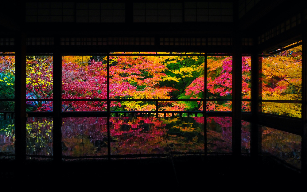 11月7日～11月13日の週間運勢占いランキング！　1位の星座は…？